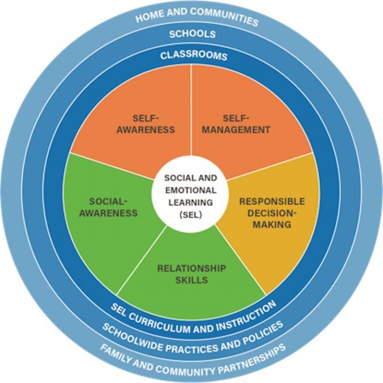 Understanding Social And Emotional Components Of Student